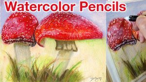 Watercolor Pencil Red Mushrooms Mollys Fine Art