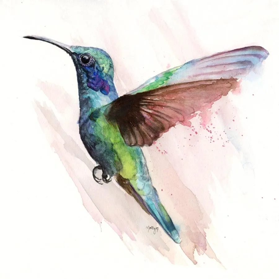 Watercolor Hummingbird Mollys Fine Art Academy