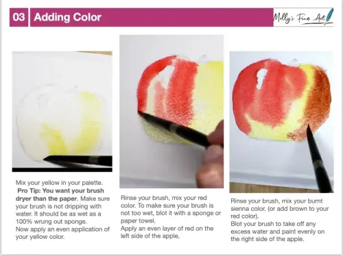 Mollys Fine Art Watercolor Tutorials